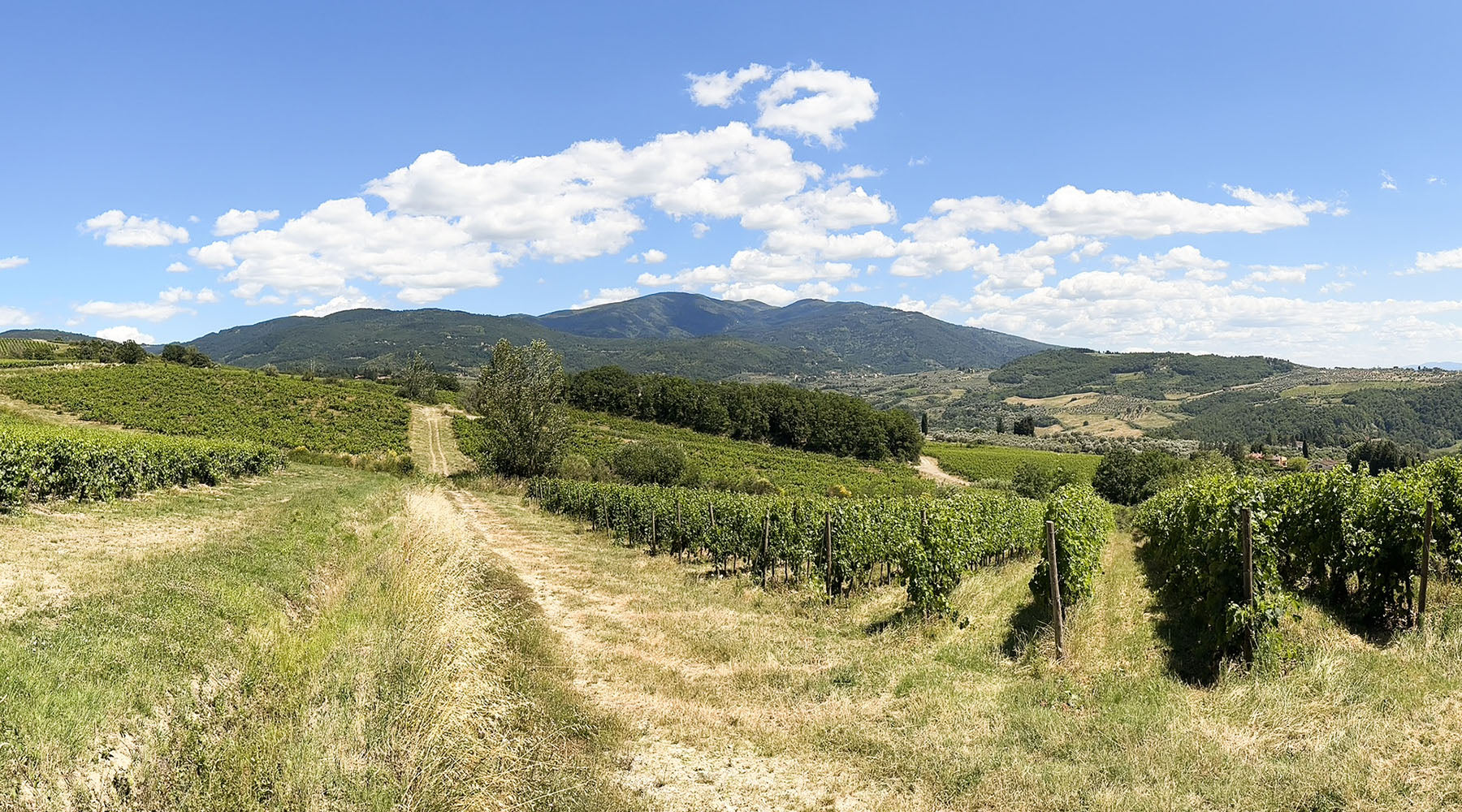 2 Weeks in Tuscany: Italian Trip Recap