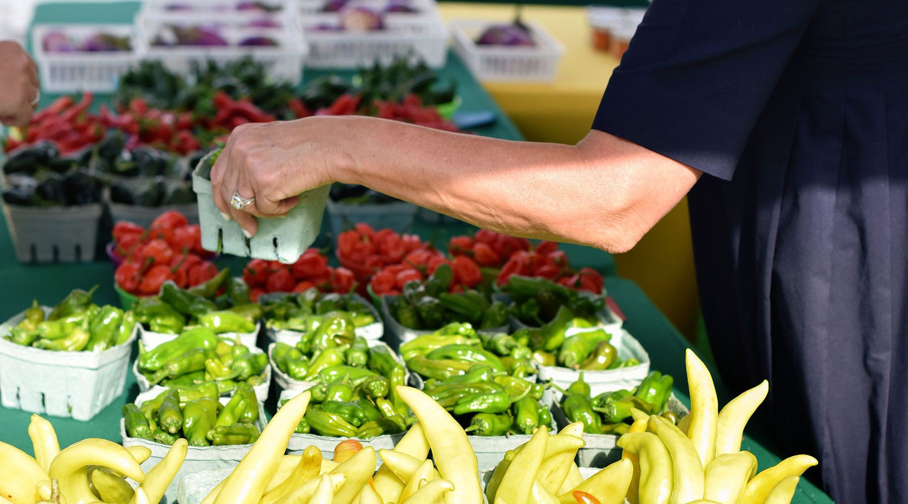 Farmer's Market Field Guide: Summer Edition
