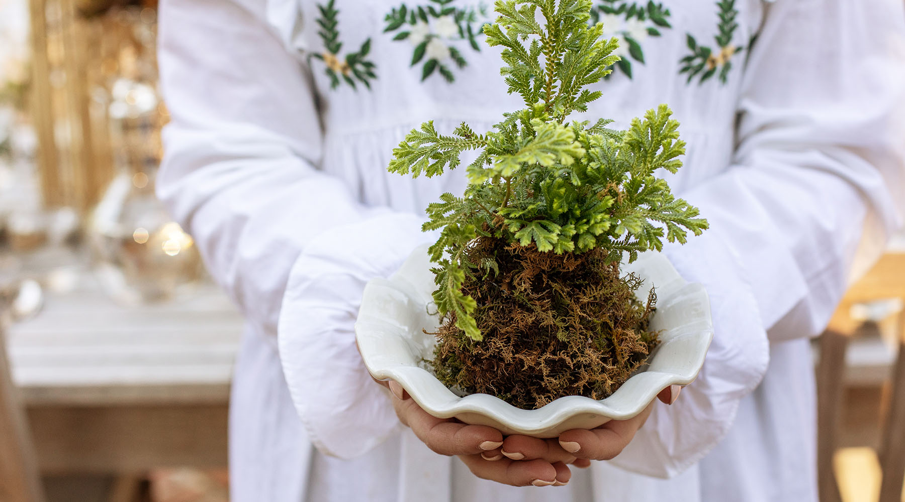 How To Make a Kokedama