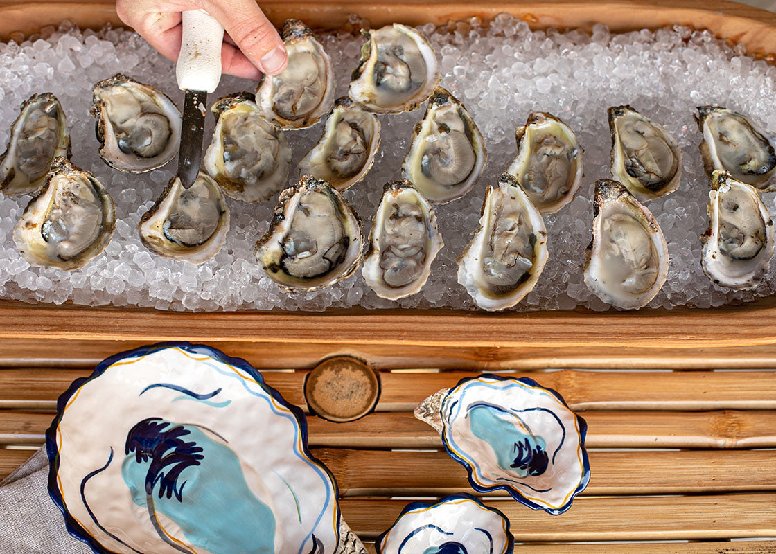 Overhead View of Raw Oysters on Ice Served onto Oyster Plates from Coton Colors