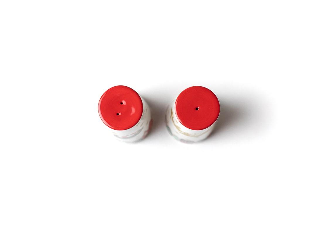 Overhead View of Showcasing Hand-Painted Tops of Flying Santa Salt and Pepper Shaker Set