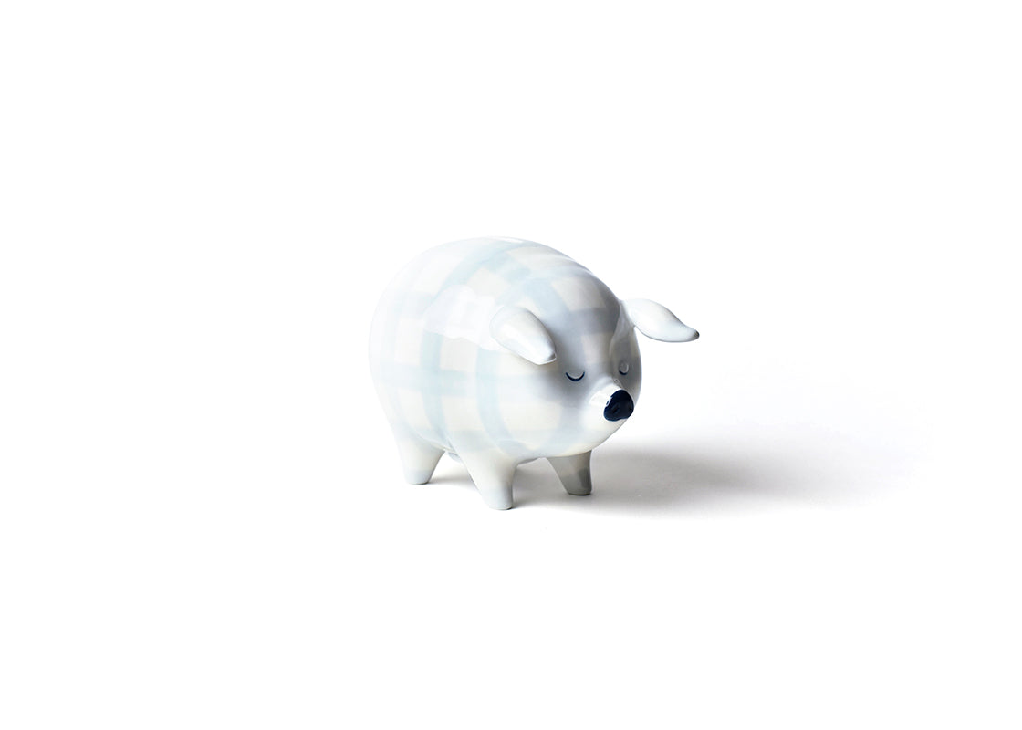 Left Side View of Angled Blue Gingham Piggy Bank