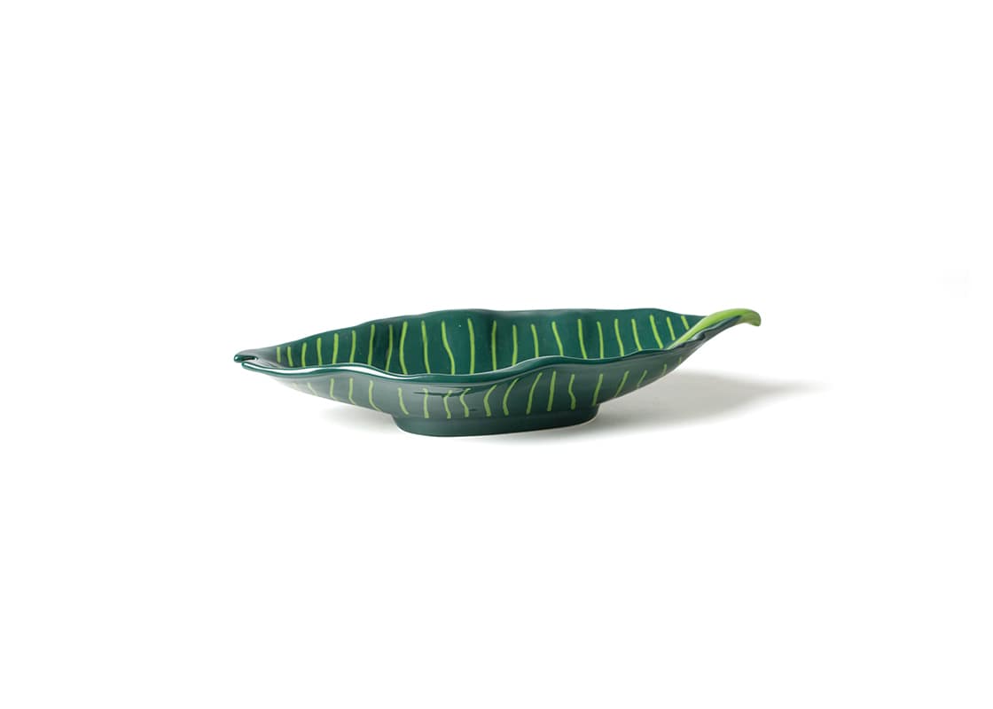 Front View of Palm Tray