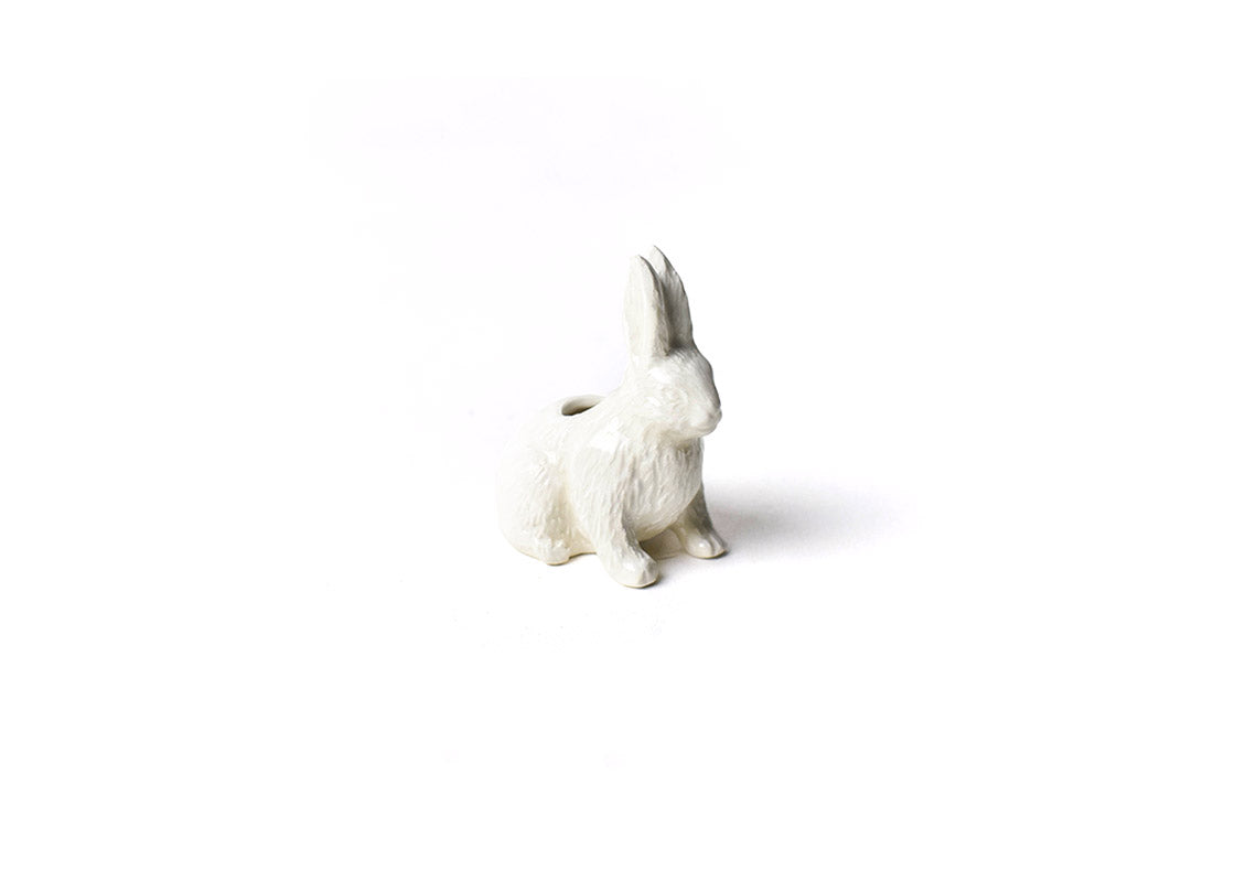 Right Side View of Rabbit Toothpick Holder