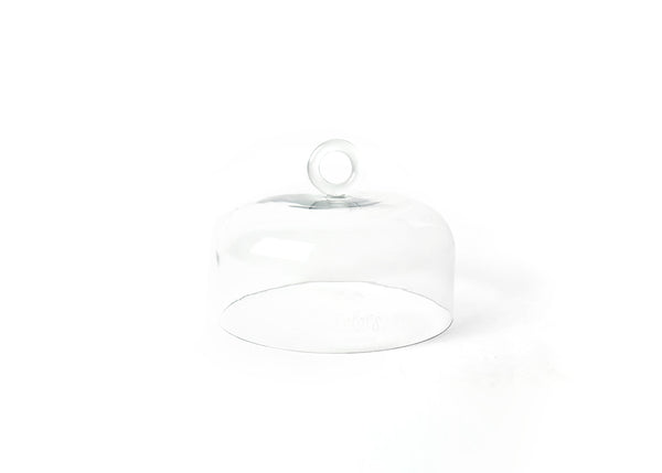 Small Ring Handle Glass Dome