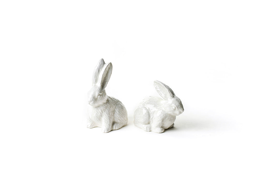 Front View of Placed Side by Side Showcasing Carved Design Details of Rabbit Salt and Pepper Shaker Set