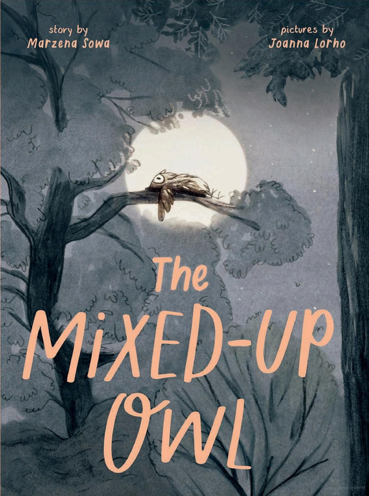The Mixed-Up Owl
