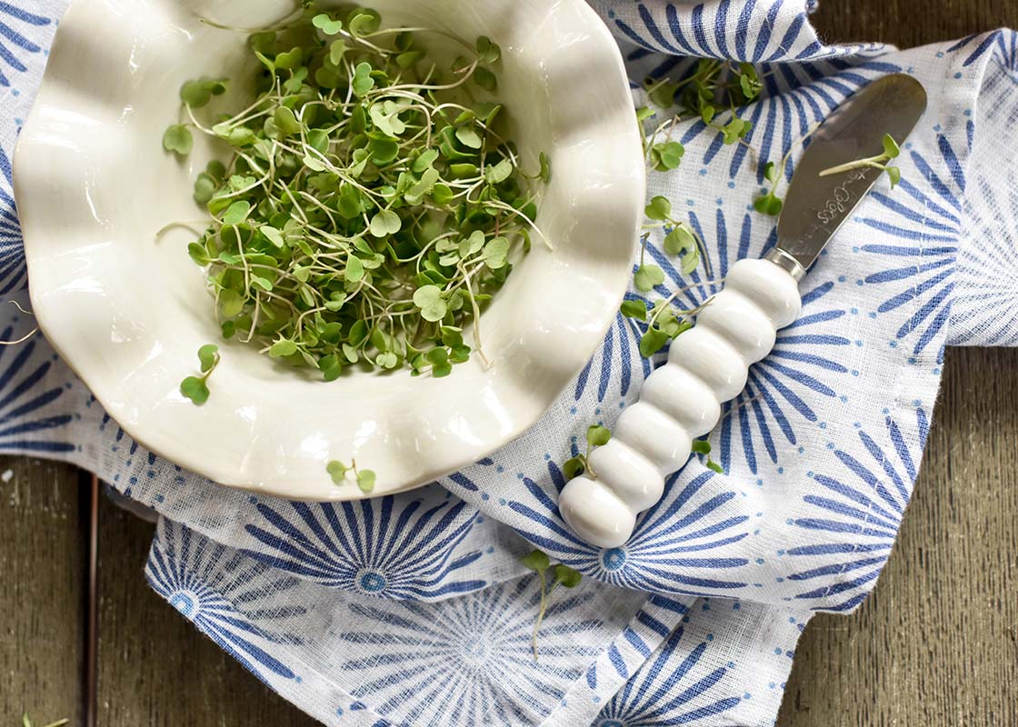 Overhead View of Signature White Serveware with Iris Blue Burst Kitchen Towel