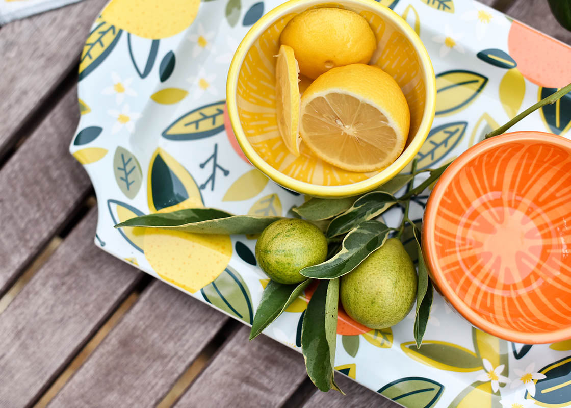 Cropped Close up of Lemon and Orange Appetizer Bowls Coordinated with Citrus Traditional Tray