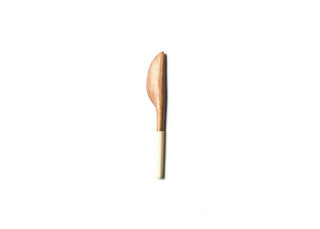 Fundamental Ecru Wood Appetizer Spreader
