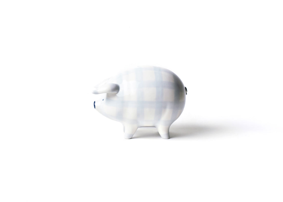 Right Side View of Blue Gingham Piggy Bank