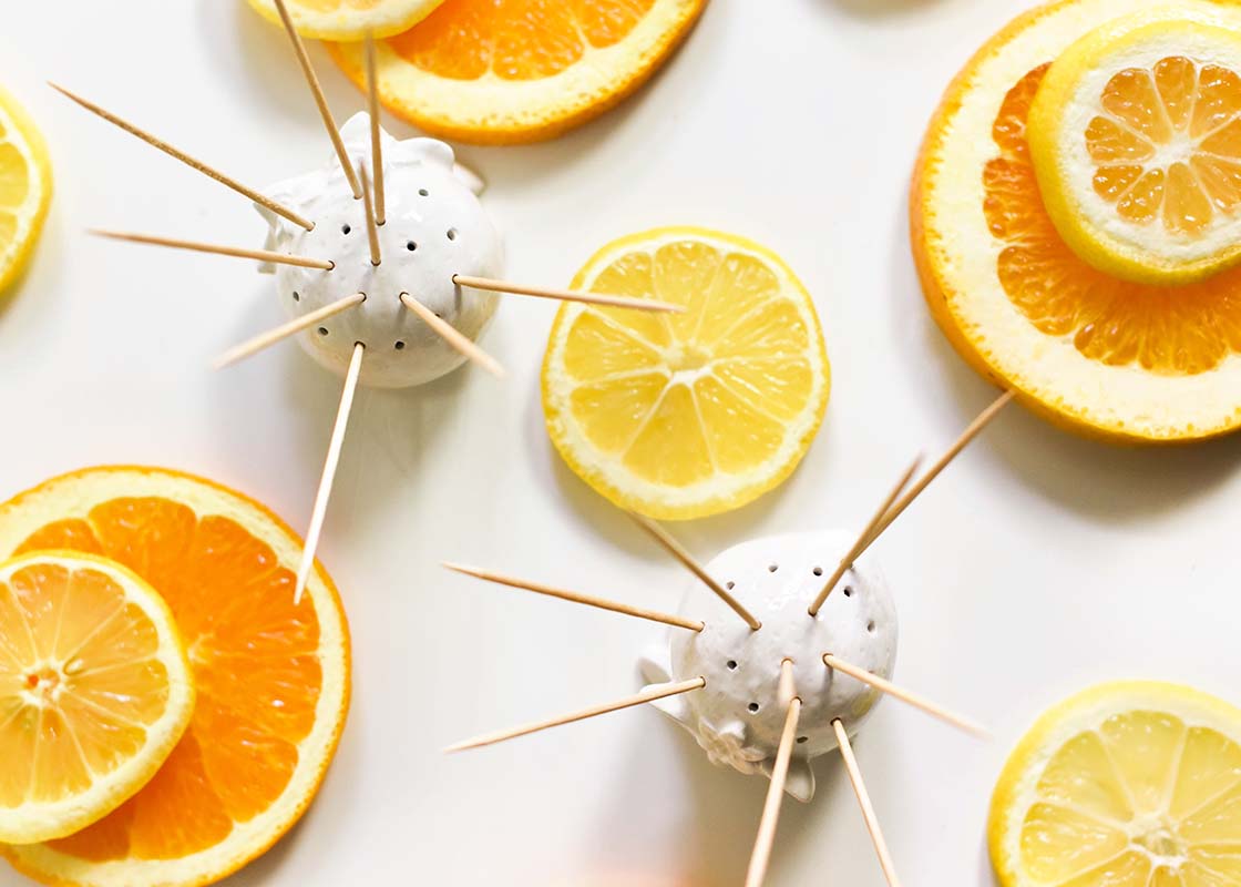 Overhead View of Orange Toothpick Holder with Orange and Lemon Slices