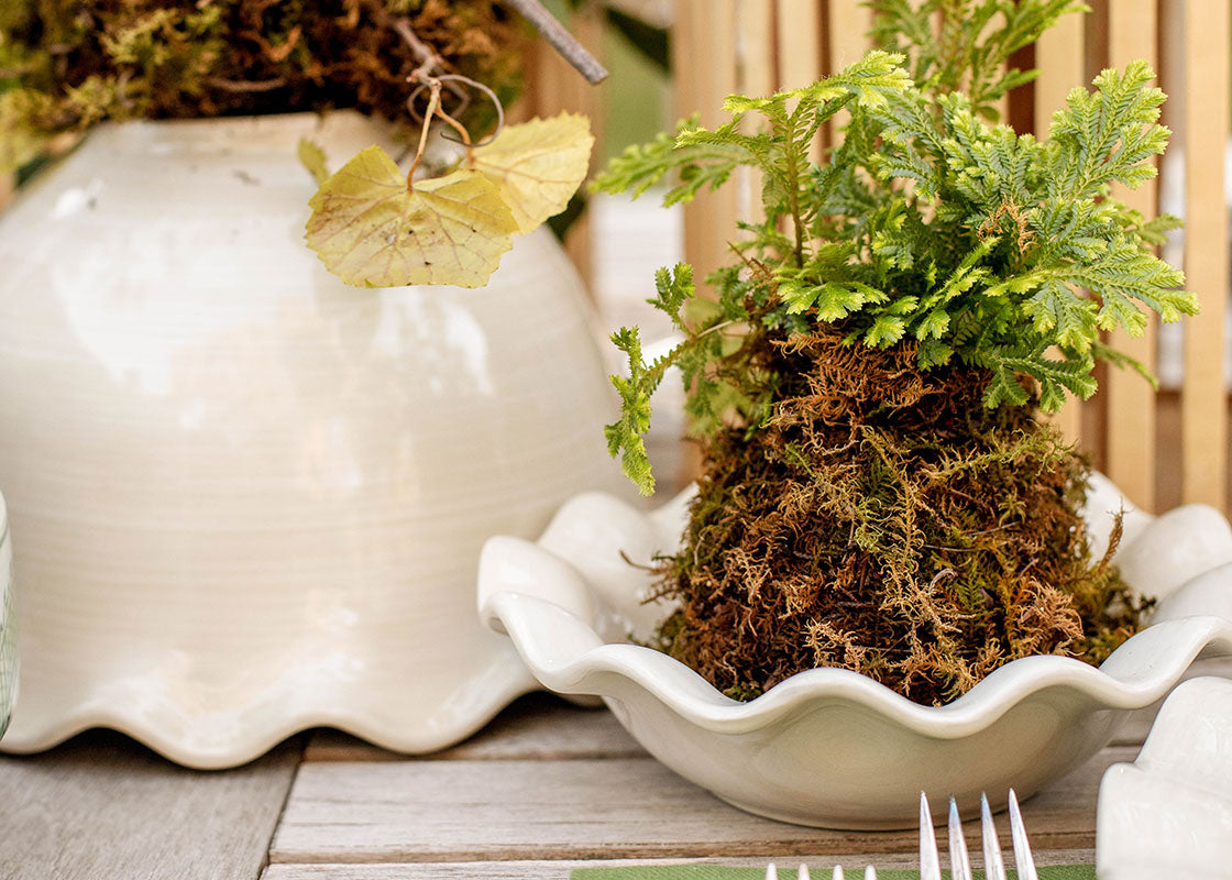 Front View of Signature White Ruffle Flare Small Bowl Used as Planter